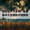 想轻松学习生物？来看看闵儿生物教学视频网盘！