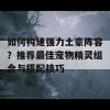 如何构建强力土豪阵容？推荐最佳宠物精灵组合与搭配技巧