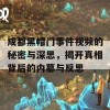 成都黑帽门事件视频的秘密与深思，揭开真相背后的内幕与反思