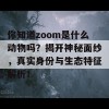 你知道zoom是什么动物吗？揭开神秘面纱，真实身份与生态特征解析！