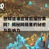 想知道谁在背后操控黄网？揭秘网络里的秘密与影响力