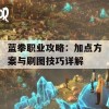 蓝拳职业攻略：加点方案与刷图技巧详解