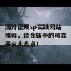 国外正规sp实践网站推荐，适合新手的可靠平台大盘点！