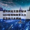 提升网站流量的秘诀 SEO短视频网页入口引流技巧大揭秘