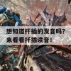 想知道扦插的发音吗？来看看扦插读音！