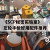 《SCP秘密实验室》左轮手枪好用配件推荐