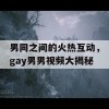 男同之间的火热互动，gay男男视频大揭秘