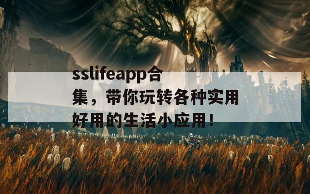 sslifeapp合集，带你玩转各种实用好用的生活小应用！