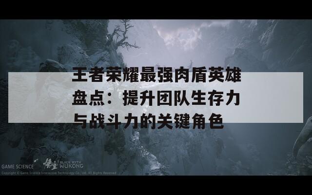 王者荣耀最强肉盾英雄盘点：提升团队生存力与战斗力的关键角色