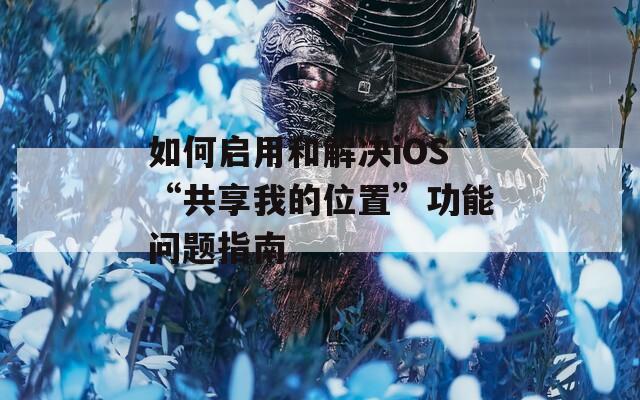 如何启用和解决iOS“共享我的位置”功能问题指南