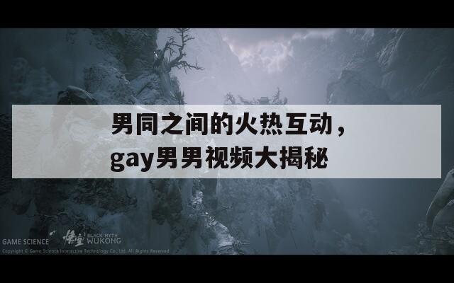 男同之间的火热互动，gay男男视频大揭秘