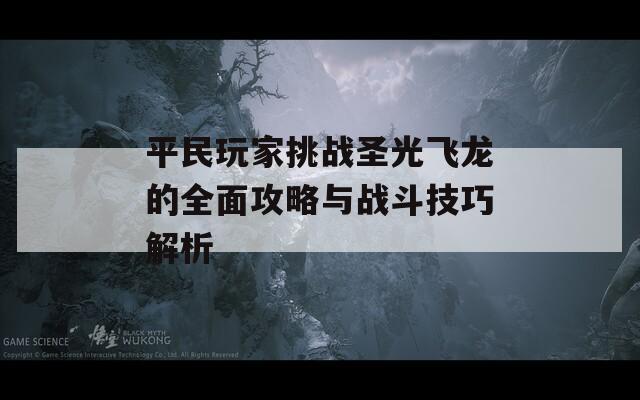 平民玩家挑战圣光飞龙的全面攻略与战斗技巧解析