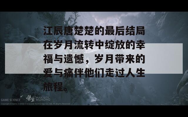 江辰唐楚楚的最后结局在岁月流转中绽放的幸福与遗憾，岁月带来的爱与痛伴他们走过人生旅程。