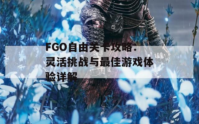 FGO自由关卡攻略：灵活挑战与最佳游戏体验详解