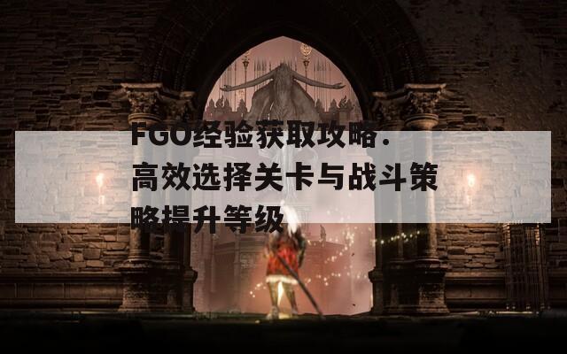 FGO经验获取攻略：高效选择关卡与战斗策略提升等级