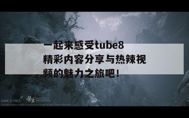 一起来感受tube8精彩内容分享与热辣视频的魅力之旅吧！