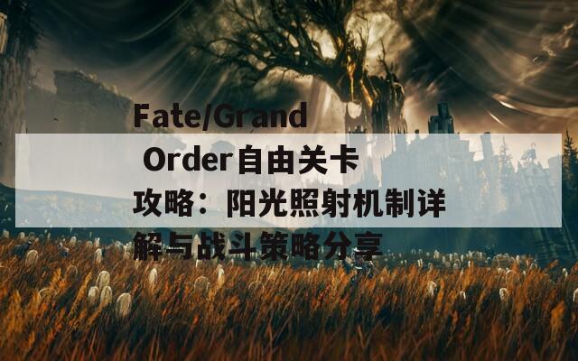 Fate/Grand Order自由关卡攻略：阳光照射机制详解与战斗策略分享