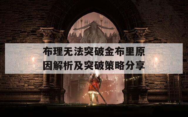 布理无法突破金布里原因解析及突破策略分享