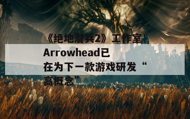 《绝地潜兵2》工作室Arrowhead已在为下一款游戏研发“高概念”