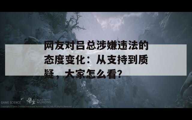 网友对吕总涉嫌违法的态度变化：从支持到质疑，大家怎么看？