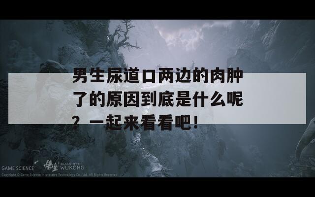 男生尿道口两边的肉肿了的原因到底是什么呢？一起来看看吧！