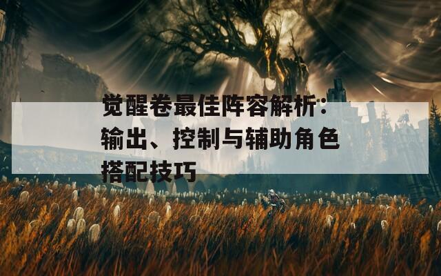 觉醒卷最佳阵容解析：输出、控制与辅助角色搭配技巧