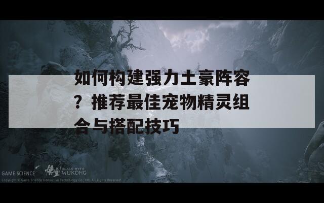 如何构建强力土豪阵容？推荐最佳宠物精灵组合与搭配技巧