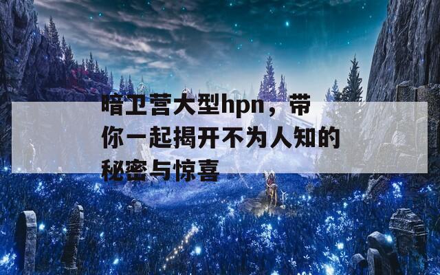 暗卫营大型hpn，带你一起揭开不为人知的秘密与惊喜